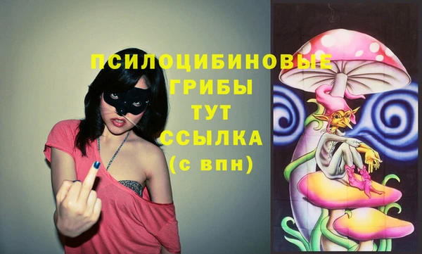сатива Алексин