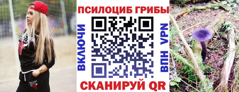 Псилоцибиновые грибы Psilocybine cubensis  ссылка на мегу ONION  Кыштым 